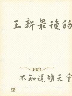 王新最后的结局