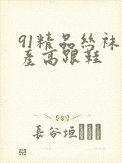 91精品丝袜国产高跟鞋