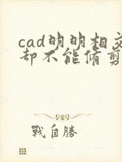 cad明明相交却不能修剪