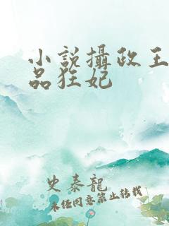 小说摄政王的医品狂妃