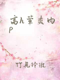 高h荤爽肉〈np