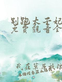 别跑太子妃短剧免费观看全集