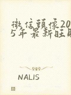 微信头像2025年最新旺财旺运头像