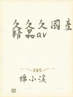 久久久国产亚洲精品av