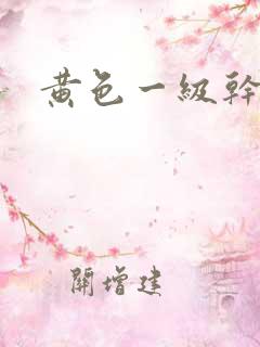 黄色一级干逼片