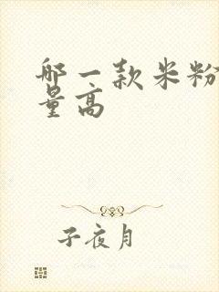 哪一款米粉含铁量高