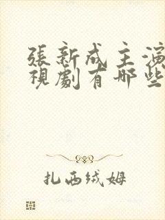 张新成主演的电视剧有哪些