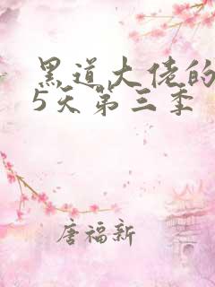 黑道大佬的365天第三季