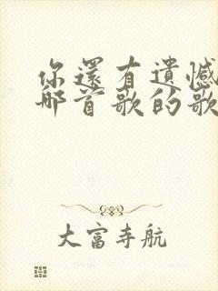 你还有遗憾吗是哪首歌的歌词