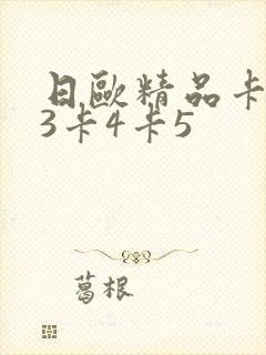 日欧精品卡2卡3卡4卡5