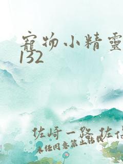 宠物小精灵bw132