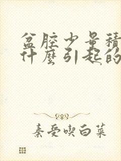 盆腔少量积液是什么引起的