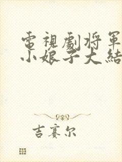 电视剧将军家的小娘子大结局