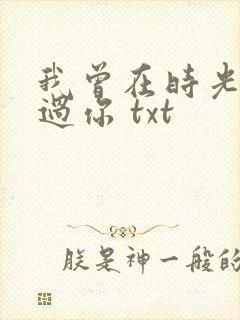 我曾在时光里听过你 txt