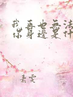 我再也无法离开你身边是什么歌