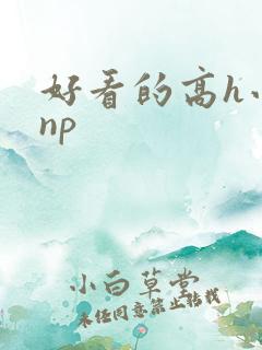 好看的高h小说np