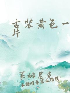 古装黄色一级大片