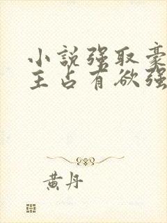 小说强取豪夺男主占有欲强