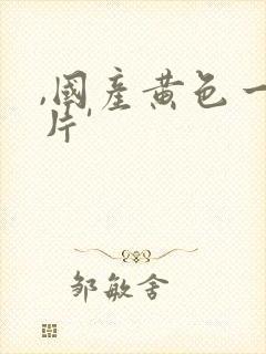 ,国产黄色一级片'