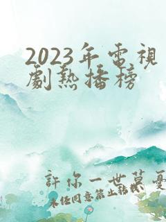 2023年电视剧热播榜