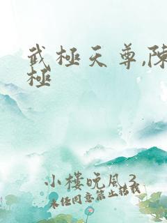 武极天尊,陈天极