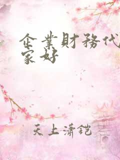 企业财务代账哪家好