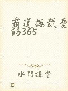 霸道总裁爱上我的365