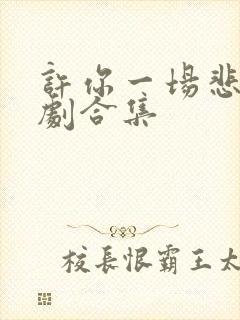 许你一场悲欢短剧合集