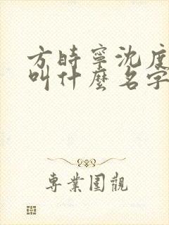 方时宁沈度小说叫什么名字