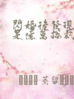 闪婚后发现老公是亿万总裁小说免费阅读