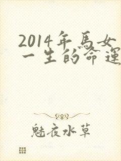 2014年马女一生的命运