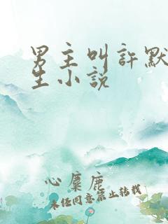 男主叫许默的重生小说