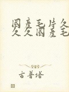 国产毛片久久久久久国产毛片不卡