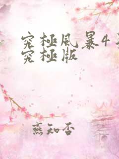 究极风暴4手机究极版