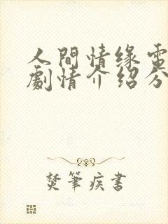 人间情缘电视剧剧情介绍分集