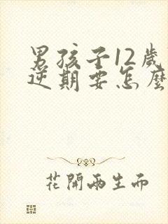 男孩子12岁叛逆期要怎么管教