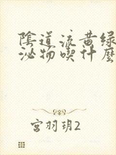 阴道流黄绿色分泌物吃什么药