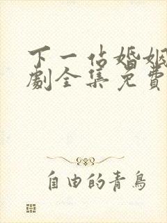 下一站婚姻连续剧全集免费观看