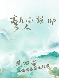 高h小说 np 多人