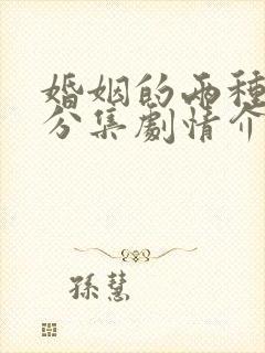 婚姻的两种猜想分集剧情介绍