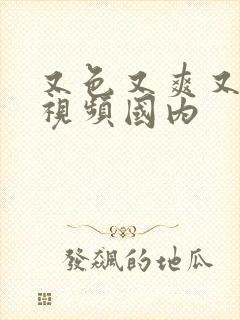 又色又爽又黄的视频国内