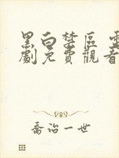 黑白禁区 电视剧免费观看高清