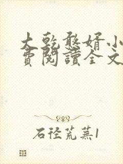 大乾憨婿小说免费阅读全文