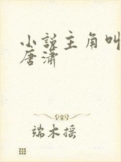 小说主角叫王东唐潇