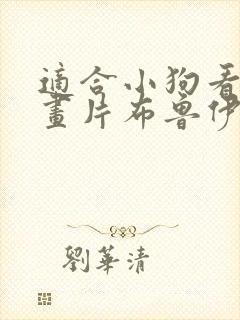 适合小狗看的动画片布鲁伊