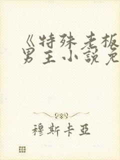 《特殊老板》双男主小说免费阅读