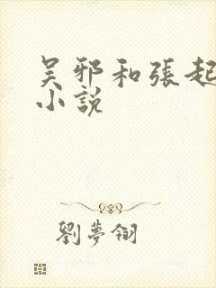 吴邪和张起灵的小说