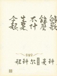 今生不能够在一起是什么歌