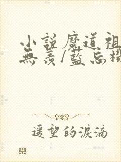 小说魔道祖师魏无羡/蓝忘机外传