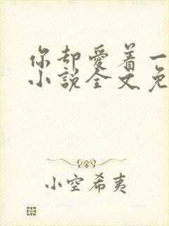 你却爱着一个他小说全文免费阅读